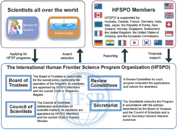 HFSPO Framework2