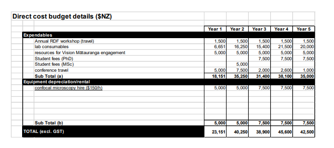 direct costs example rdf proposal