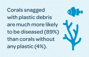 4 Wha corals factoid