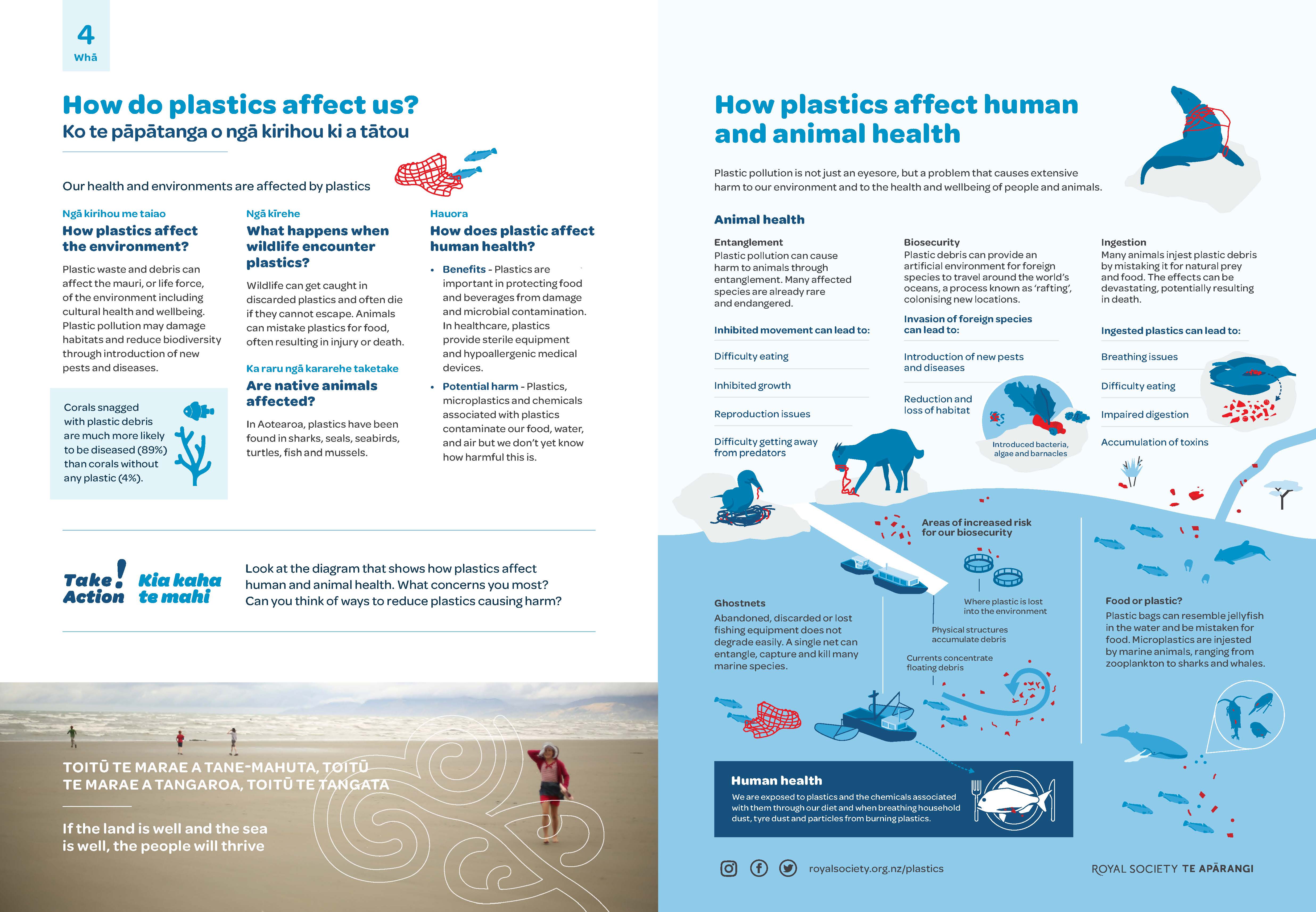 4 Wha plastics and health A3 image