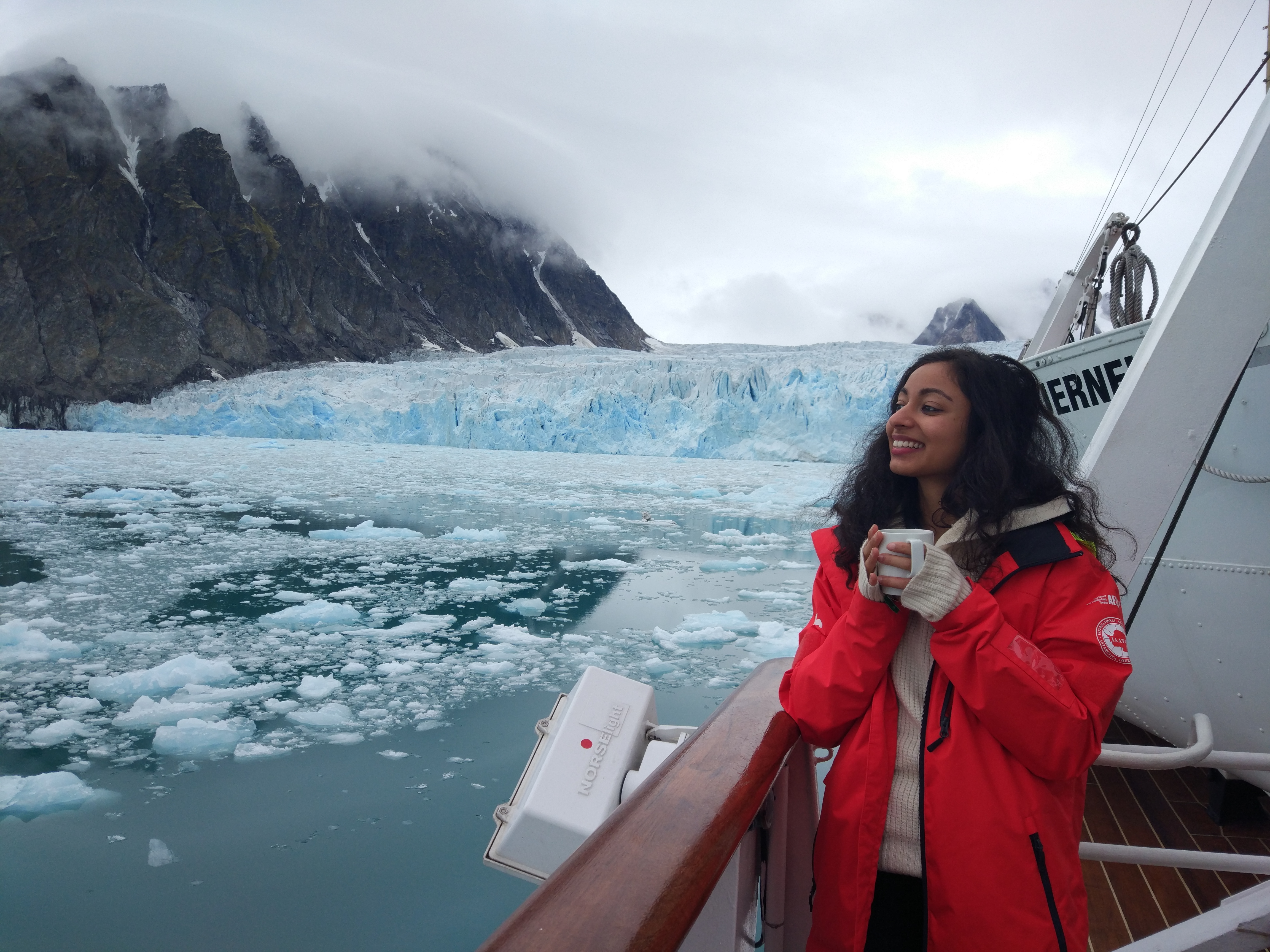 Arctic Arctic