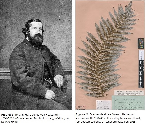 Combined Haast and specimen with legend v2