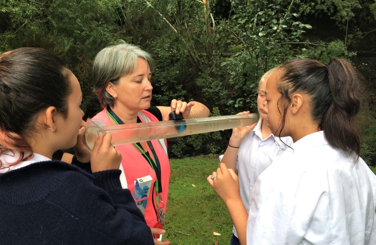 About the Science Teaching Leadership Programme