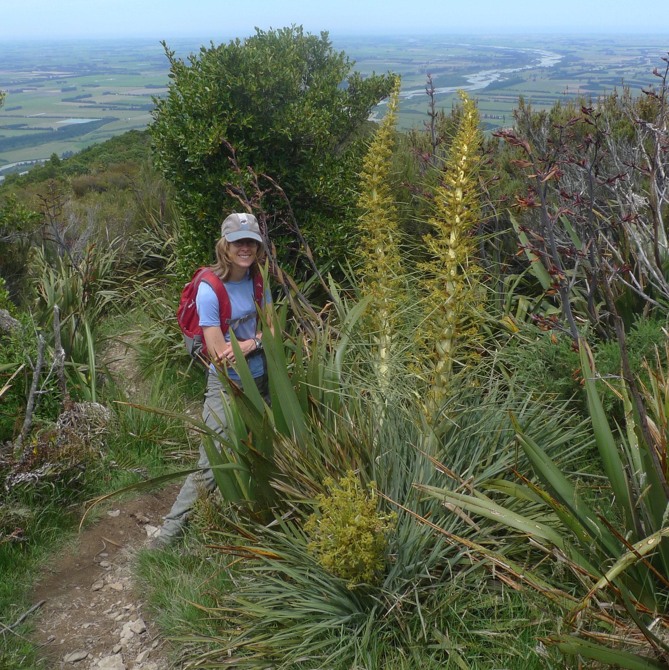 New Senior Editor of the New Zealand Journal of Botany announced