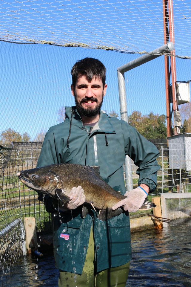 Track Instantly: How Guessing Speed Unlocks Future Location Secrets