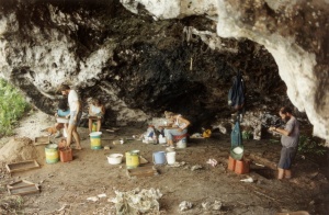 Plate 1a Cave North Beach