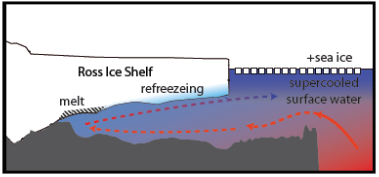 Cross section C schematic of ocean circulation under an ice sheet