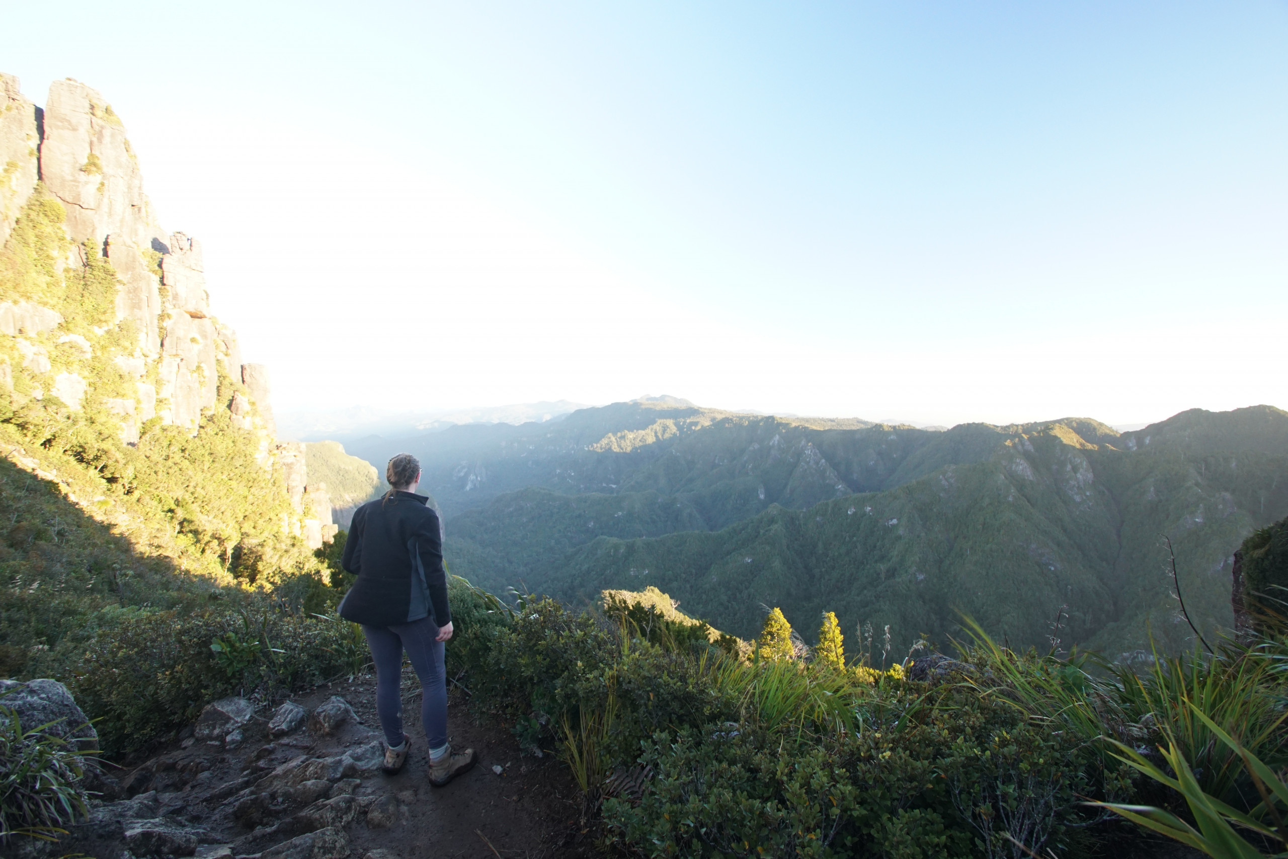 Doing NZ Fieldwork