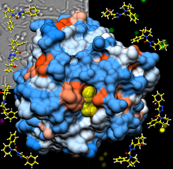 Fellner Research B resize