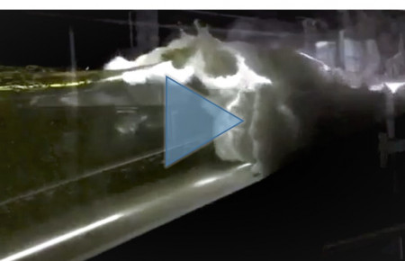 Video 1 Figure 2b edited play