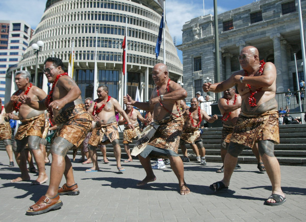 Matai in Wellington Matai in Wellington