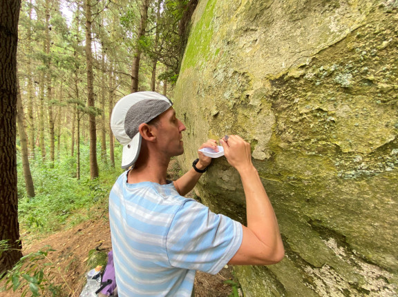 Pic1 IMG 0813.JPG resized