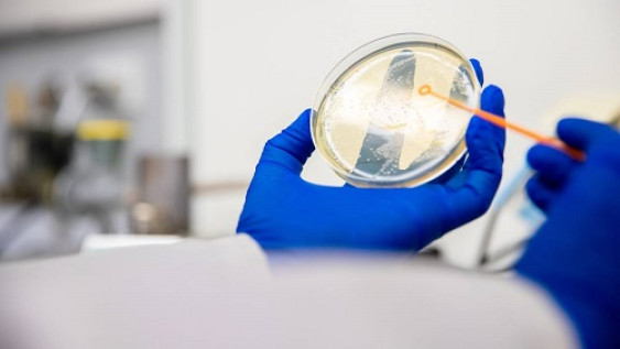 Research Image Research Image