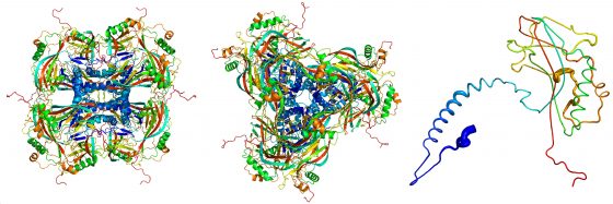 Atomic model Metcalf2 560x187