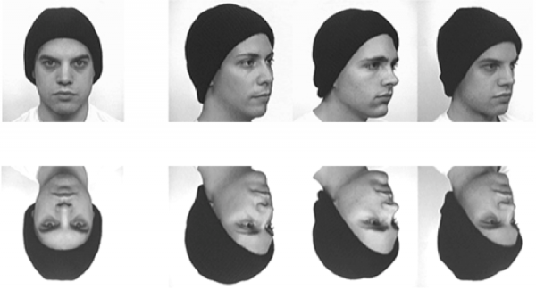 Face blindness resize