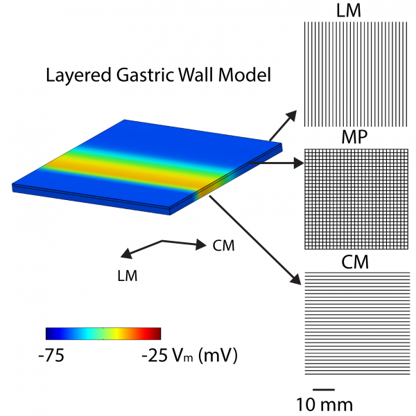 Fig2 model setup