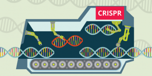 Gene editing hero