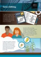 Gene editing infographic english 183x255