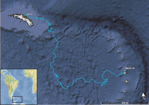 HB Track plus map newsmall.jpg best for viewing
