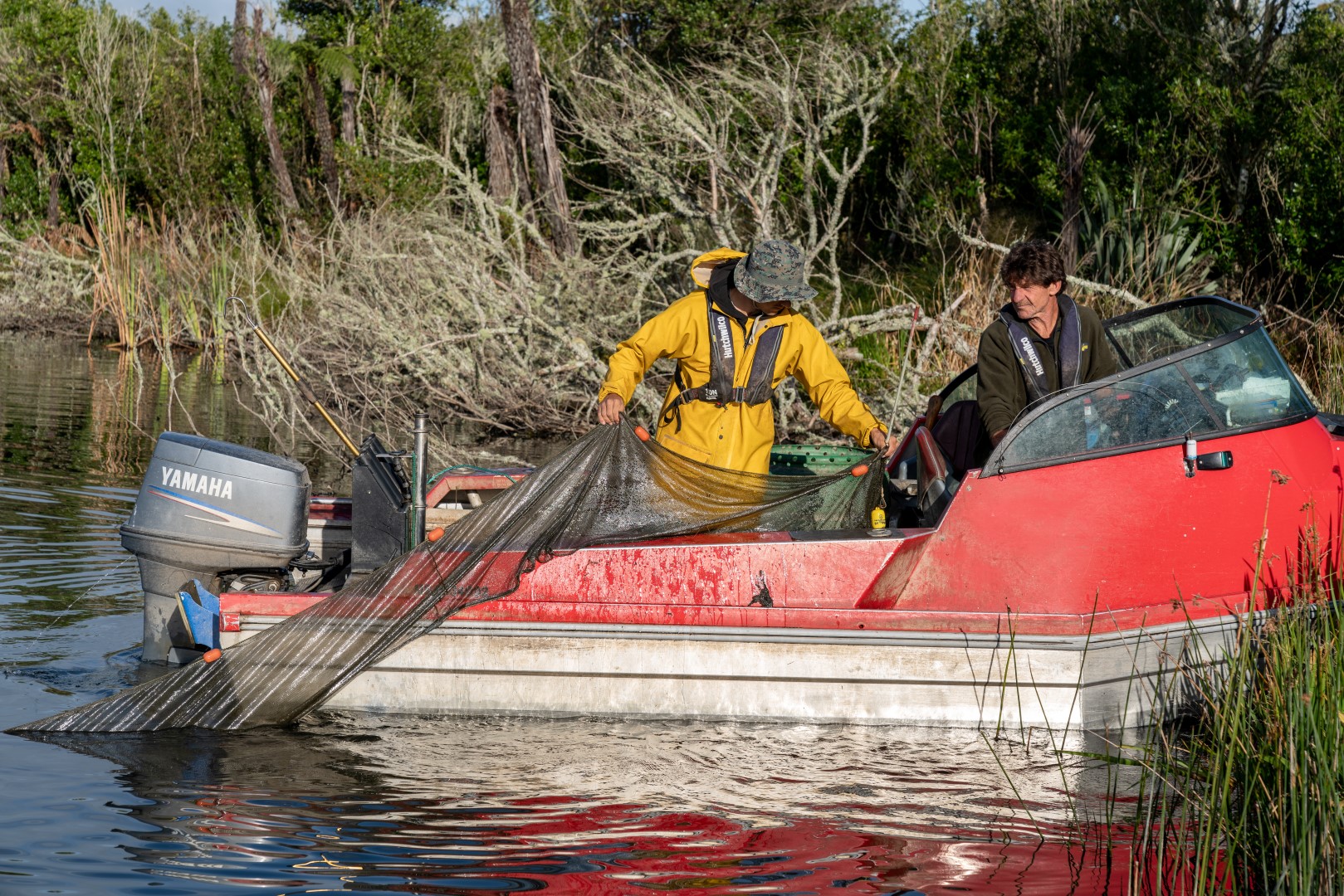 Catfish A deceptively serious threat to NZ waterways