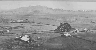 Puketapapa Historical