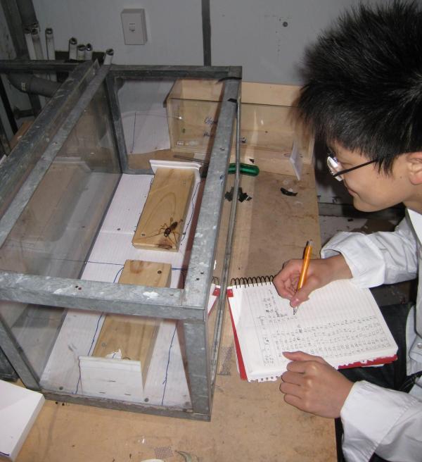 Victor Kang 5