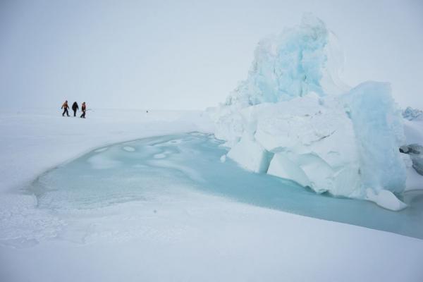 erebus 2 staff walk