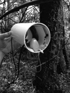 mouse tunnel