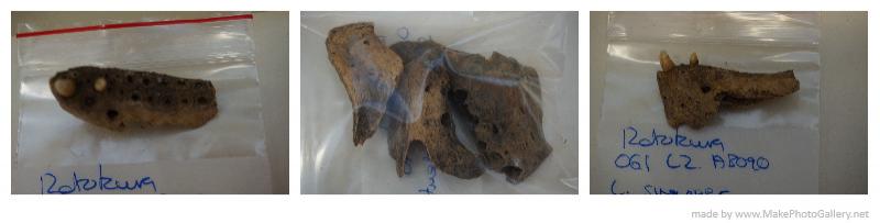 Figure 3 snapper jaw panel