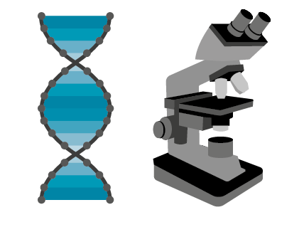 taxonomic knowledge identify