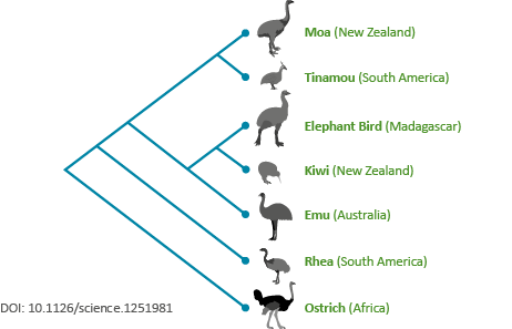 taxonomic knowledge research