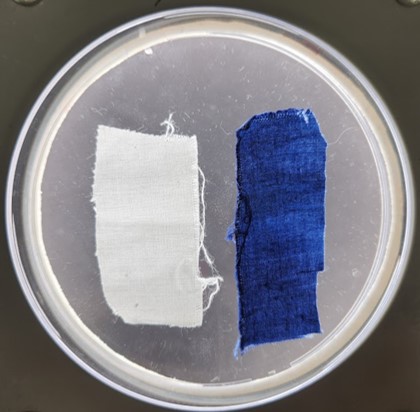 photo two cotton swatches